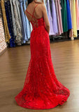 A-line V Neck Sleeveless Sweep Train Tulle Prom Dress with Sequins Split