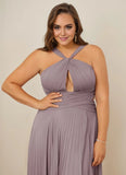 Plus Size Pleated Off Shoulder Chiffon A-Line Bridesmaid Dress