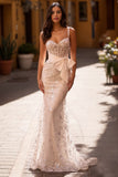 Trumpet/Mermaid Sequin Lace Sweetheart Neck Prom Gown