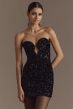 Strapless Velvet Sequin Mini Dress